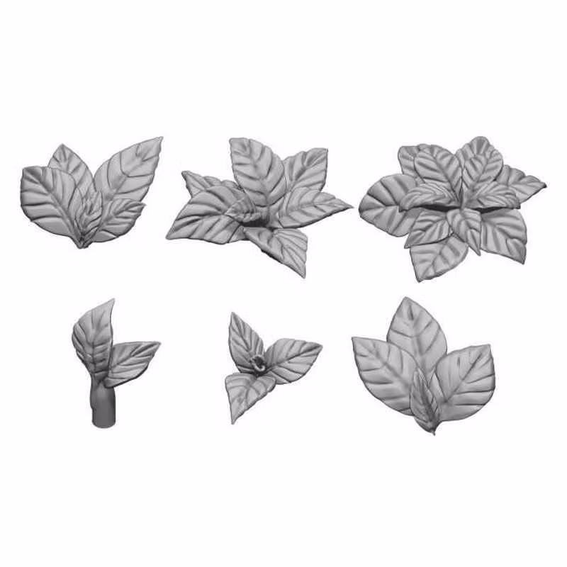 Large Leaves 1:48-1:35
