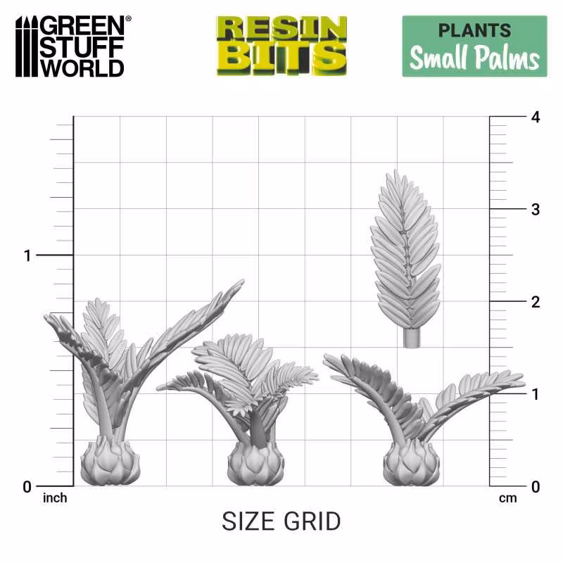 Small Palms