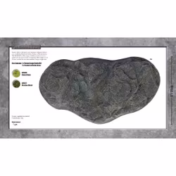 Large Rocky Hill - BB502