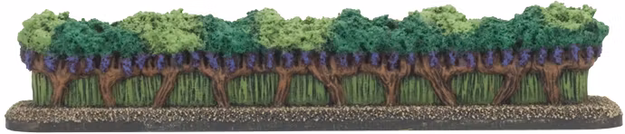 Mediterranean: Vineyards (x2) - BB116