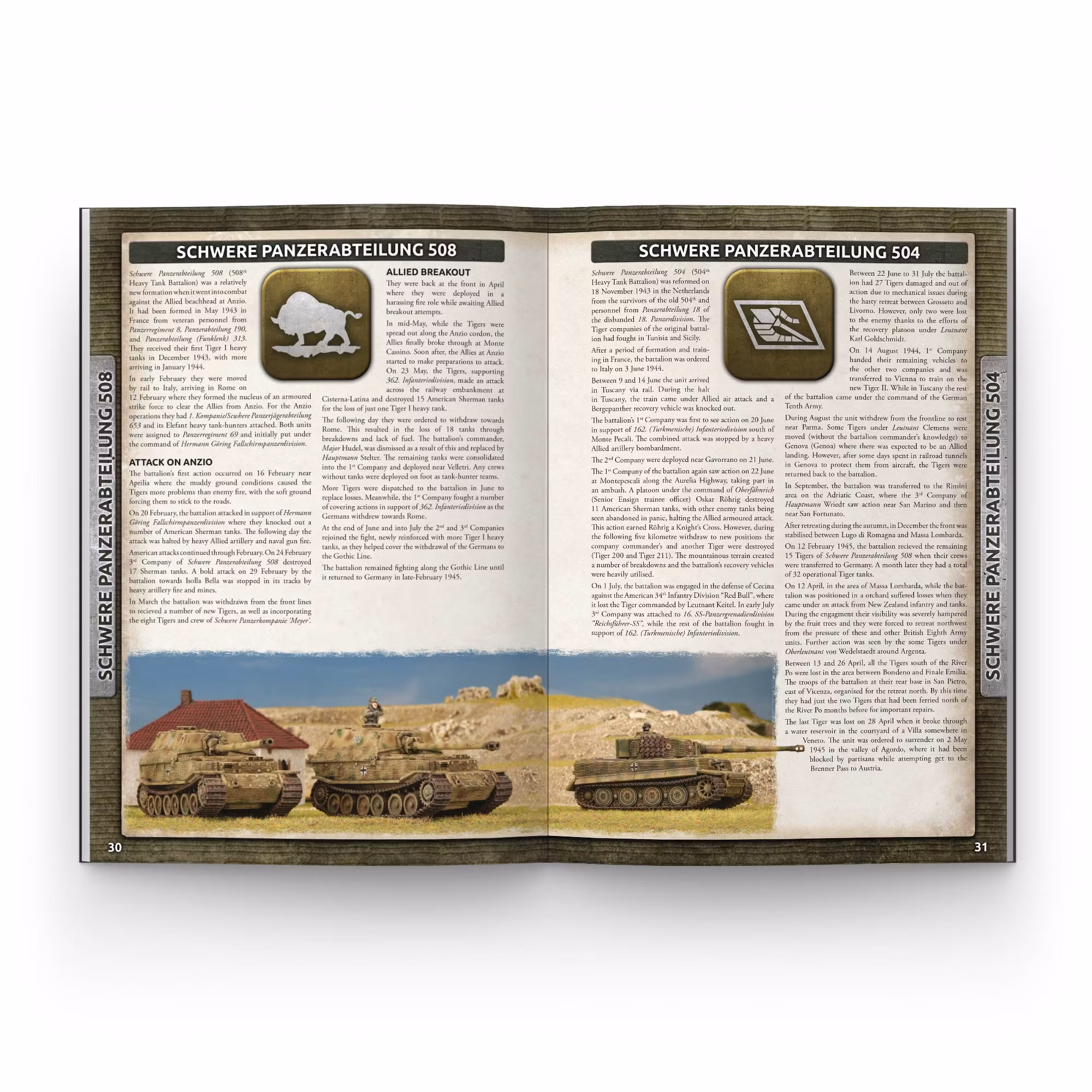Liberation of Italy - FW278