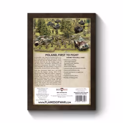 First To Fight: Polish Forces 1939 - FW282-P
