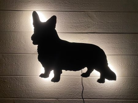 Vägglampa Corgi
