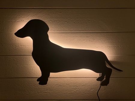 Bordslampa Korthårig Tax
