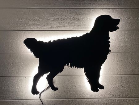 Vägglampa Golden retriever