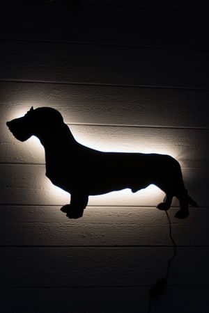 Vägglampa Strävhårig Tax