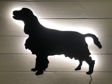 Vägglampa Engelsk Springer spaniel