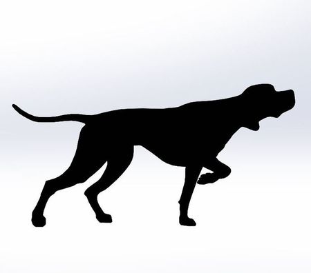 Vägglampa Pointer