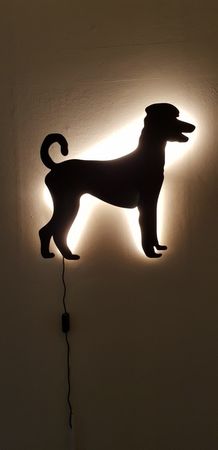 Vägglampa  Storpudel