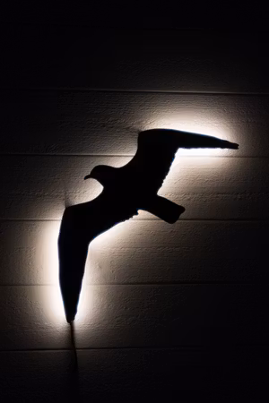 Vägglampa Fiskmås