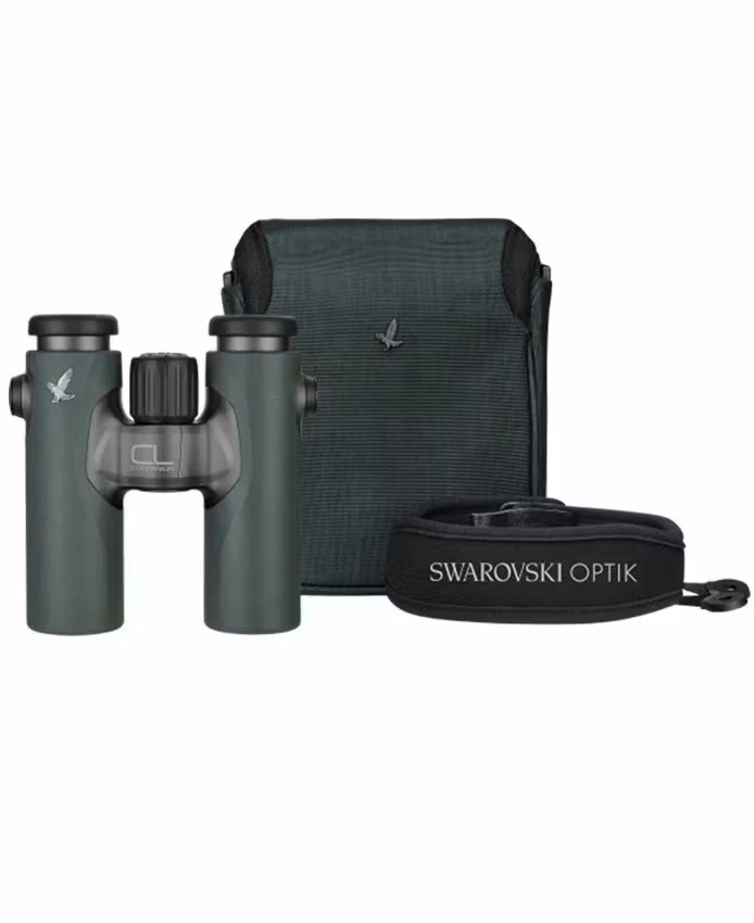 Swarovski CL Companion 8x30 B Grønn