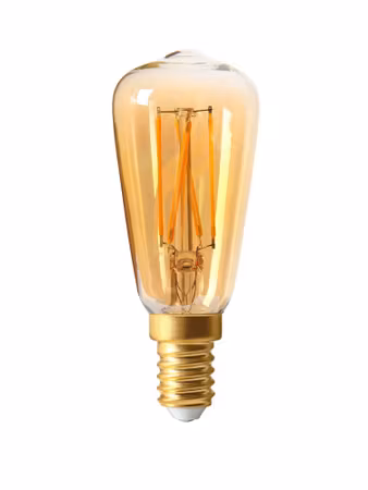 Elect LED Filament Edison Gold 39mm