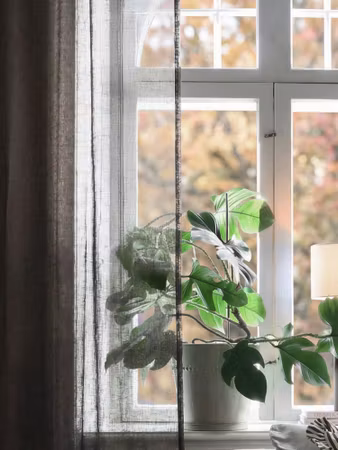 Diana Metervara