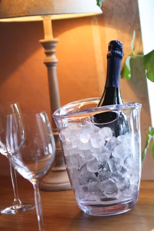 Champagne cooler, BarUp, 3L, 220x185x(H)226mm