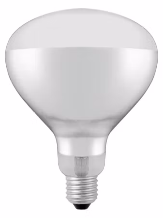 Infrared heat bulb, HENDI, Vit, 230V/250W, ⌀125x(H)170mm