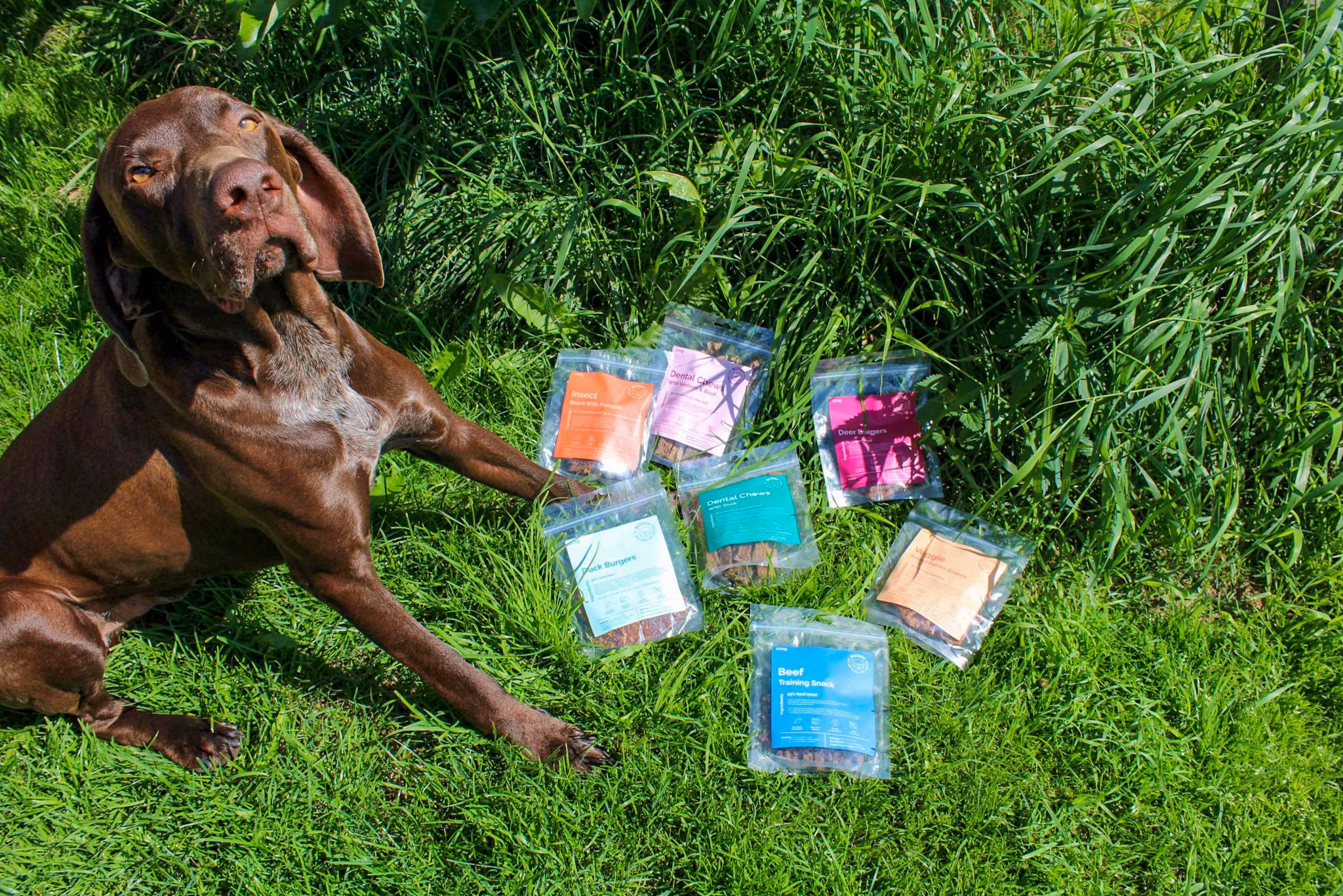 Hundgodis 100% naturligt, inga tillsatser, olika sorter