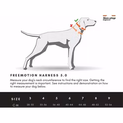 NON-STOP DOGWEAR Freemotion harness 5.0 Teal