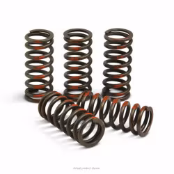 KTM Clutch Springs