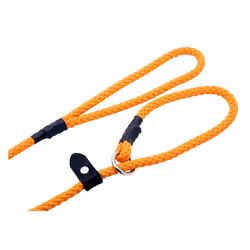 ALAC Retriverkoppel Nylon Orange