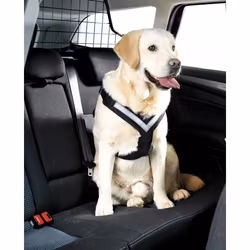 MIM Safe AllSafe Harness L