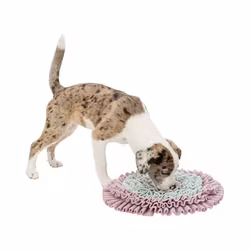 TRIXIE  Junior Sniffing Carpet, Nivå 1, ø 38 cm"