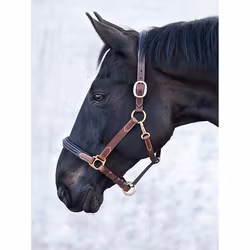 JACSON London Lädergrimma Brun