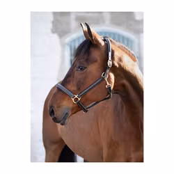 JACSON Cancun Lädergrimma