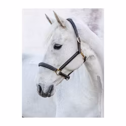 JACSON Cancun Lädergrimma