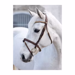 JACSON California Aachenträns