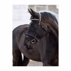 JACSON California Aachenträns