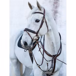 JACSON Olympia Förbygel