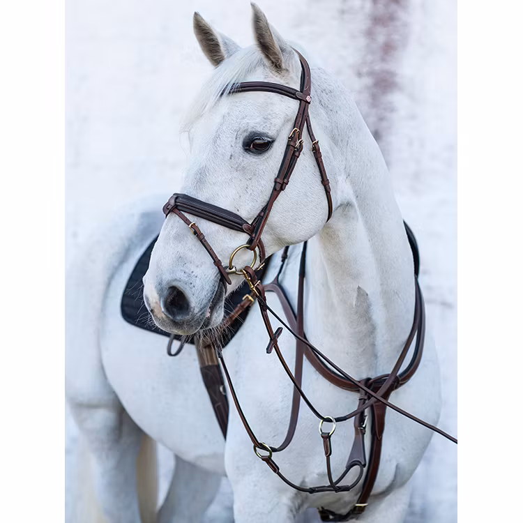 JACSON Olympia Förbygel