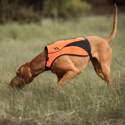 BACK ON TRACK POINT Signalväst Visibility