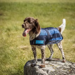 BACK ON TRACK Cool on Track Kylande Hundtäcke 2.0