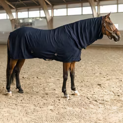 HANSBO SPORT Fleecetäcke m. hals Hug