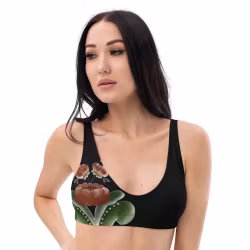 Bikini Top - Kurbits - Svart