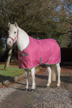 Bucas Freedom Stable - 300g : Raspberry - Forhåndsbestill nå!