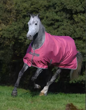 Bucas Freedom Turnout Light - Regndekken : Raspberry