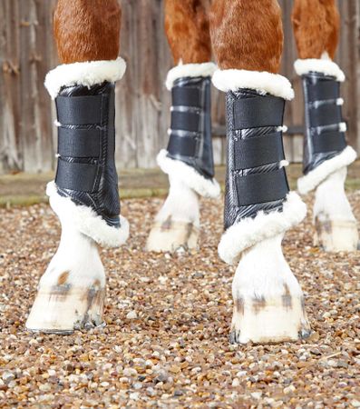 Premier Equine Belegg med pus