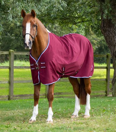 Premier Equine Stalldekken / Sommerdekken