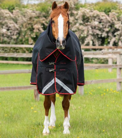 Premier Equine Buster 250g Utedekken med Hals