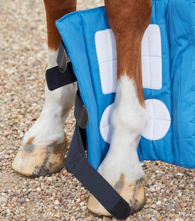 Premier Equine Bandasjeunderlag med Magneter