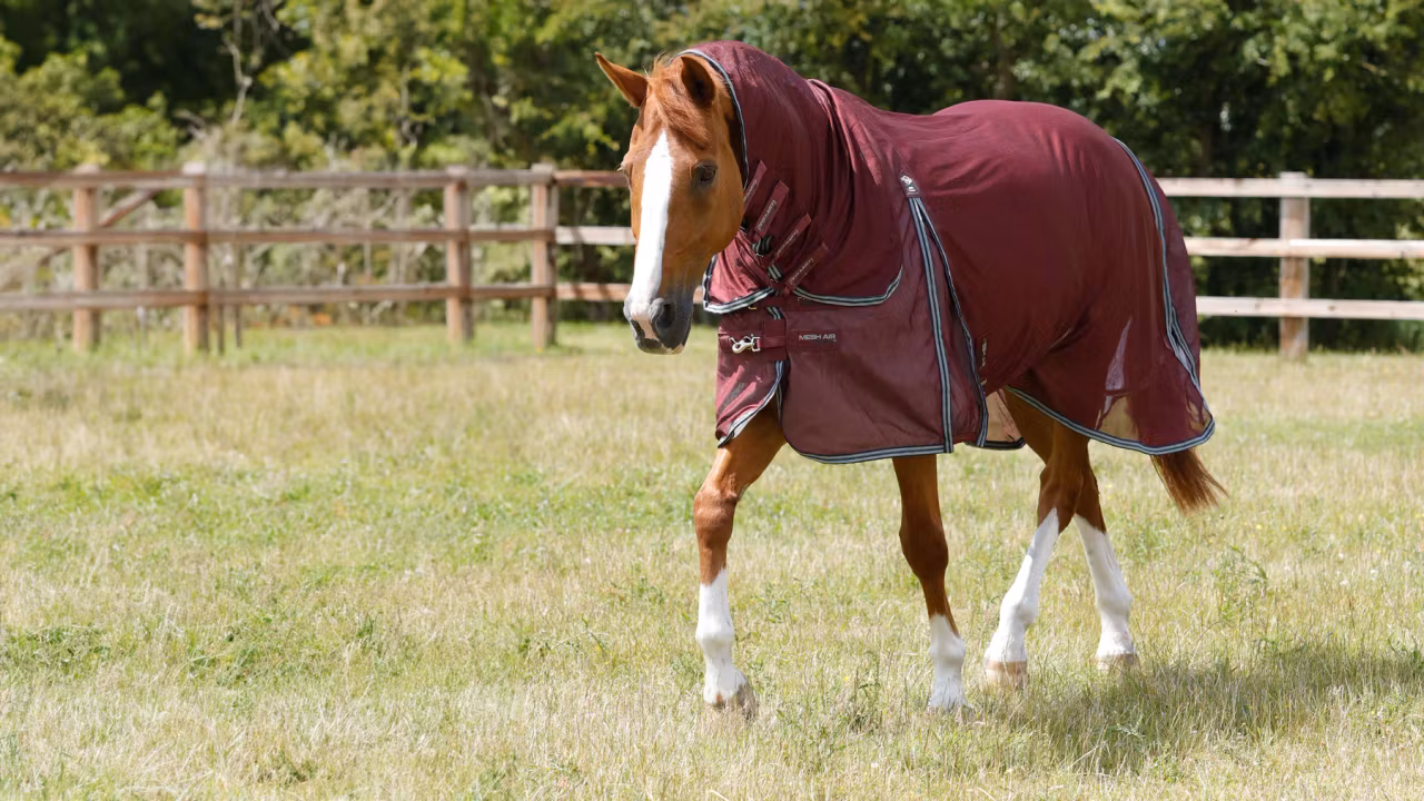 Premier Equine Fluedekken Mesh Air Deluxe