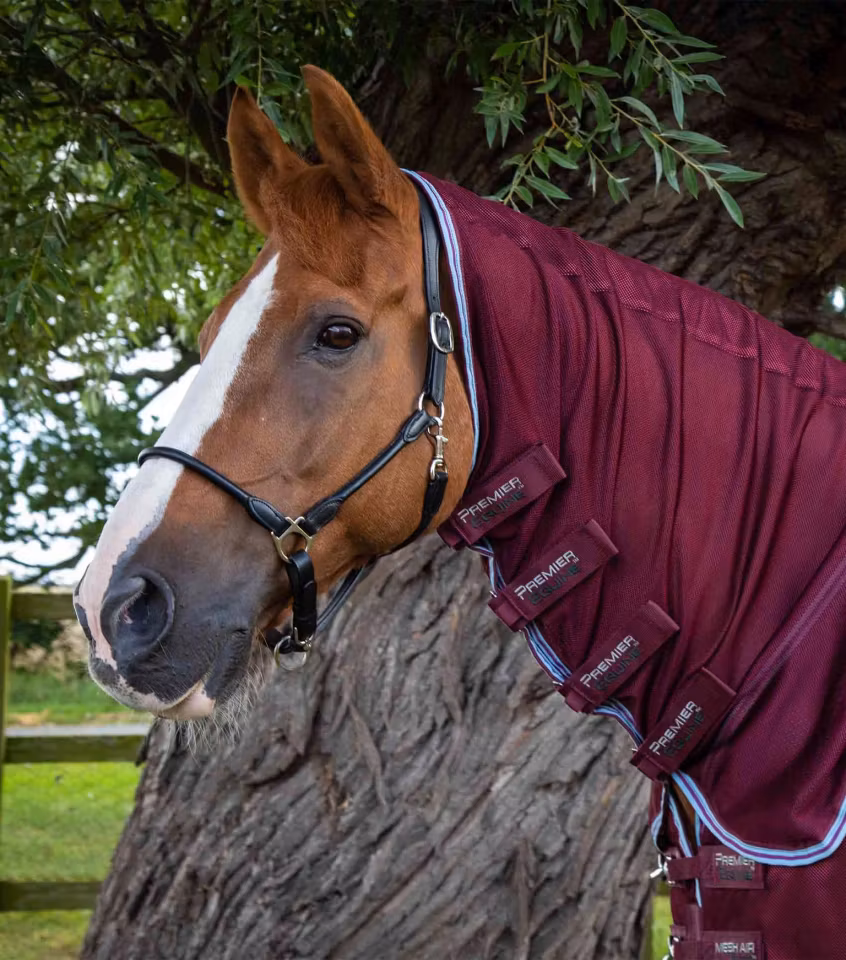 Premier Equine Fluedekken Mesh Air Deluxe