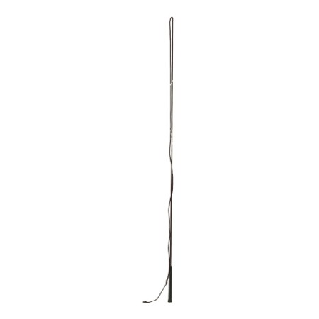 HS Longeringspisk