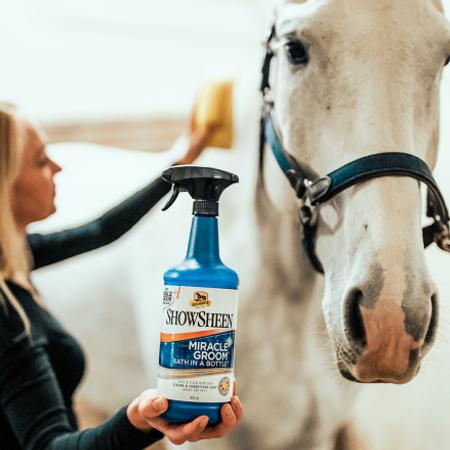 Absorbine Miracle Groom