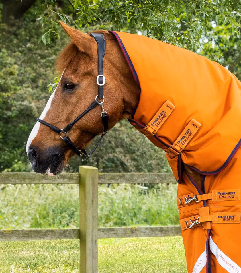 Premier Equine Buster Storm 200g Utedekken med Hals