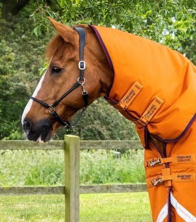 Premier Equine Buster Storm 200g Utedekken med Hals