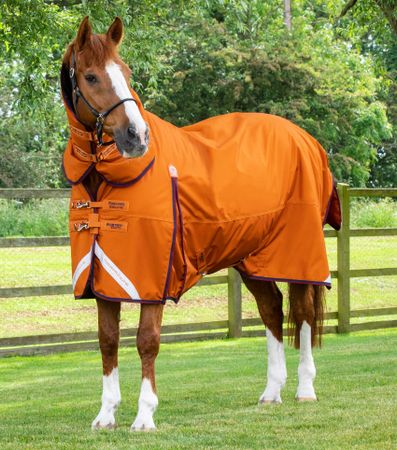 Premier Equine Buster Storm 200g Utedekken med Hals