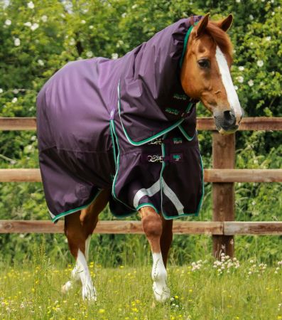 Premier Equine Buster 200g Utedekken med Snug-Fit Hals